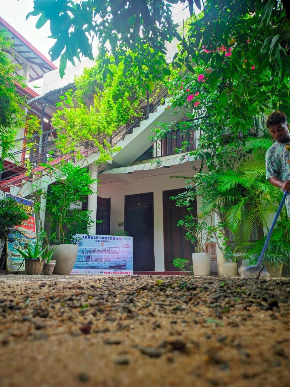 Mila Rest Garden Hotell Mirissa Rum bild